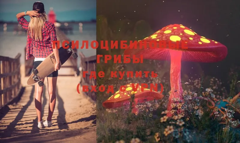 omg ССЫЛКА  Саратов  Псилоцибиновые грибы Cubensis 